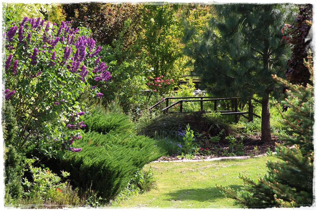 Ogród w wiejskim stylu 48