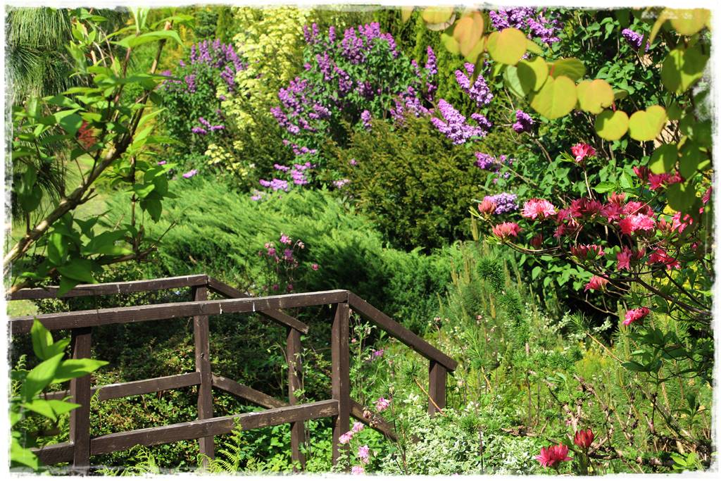 Ogród w wiejskim stylu 49