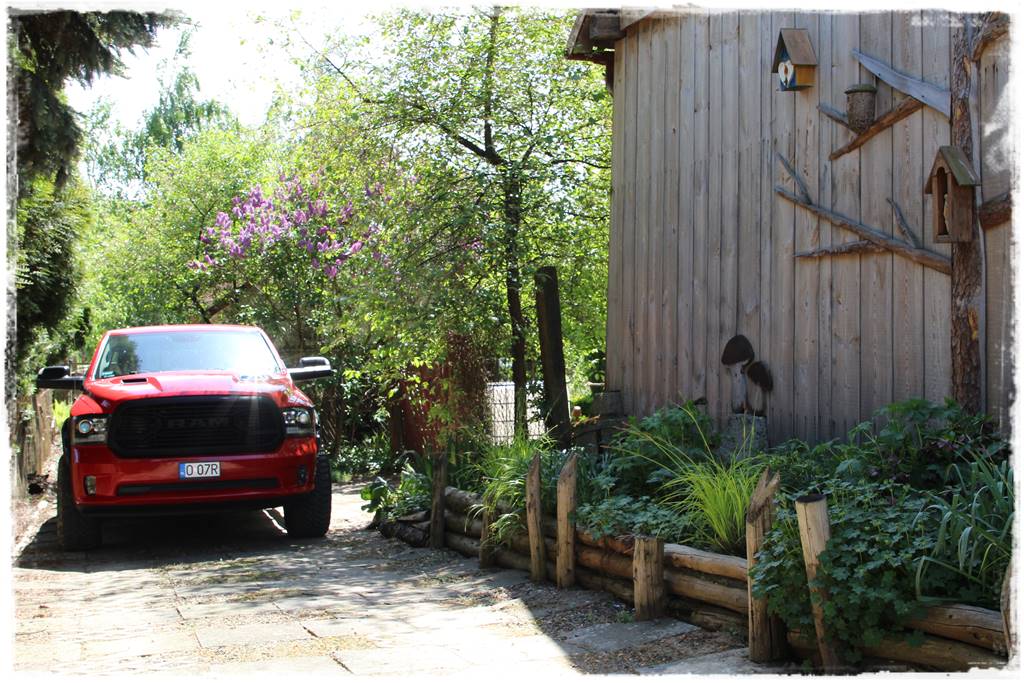 Ogród w wiejskim stylu 5