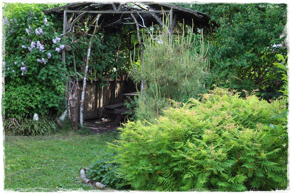 Ogród w wiejskim stylu 50