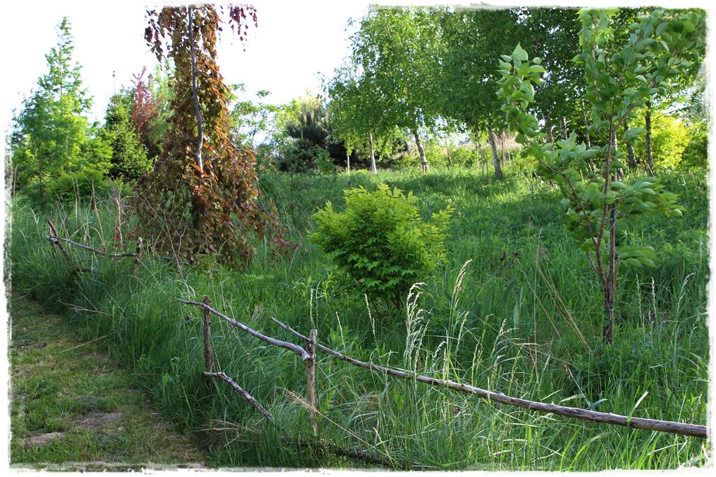 Ogród w wiejskim stylu 51