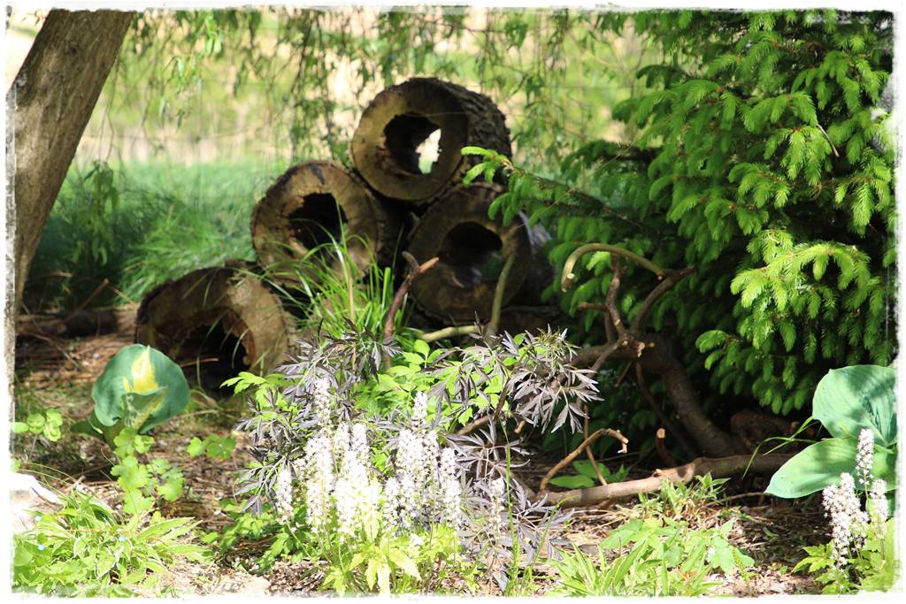 Ogród w wiejskim stylu 55