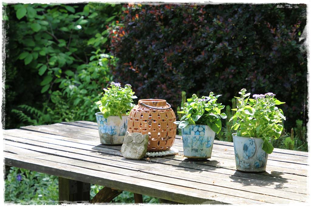 Ogród w wiejskim stylu 56