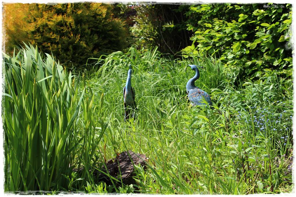 Ogród w wiejskim stylu 63