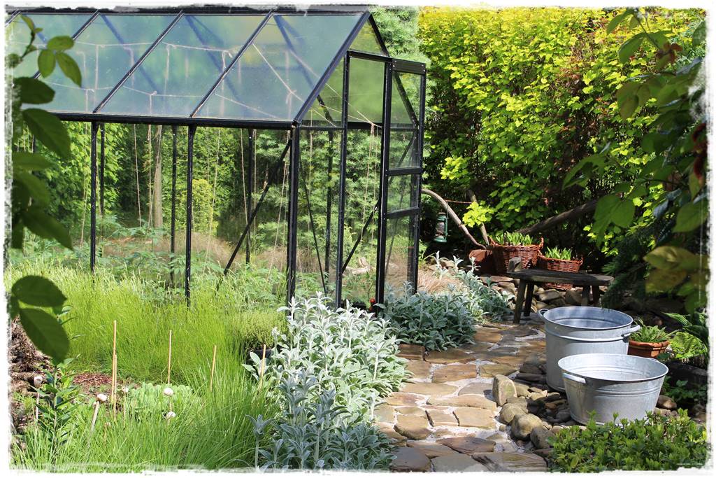 Plan sadzenia warzyw 13