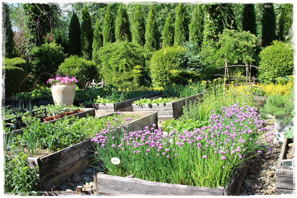 Plan sadzenia warzyw 2 Plan sadzenia warzyw 2