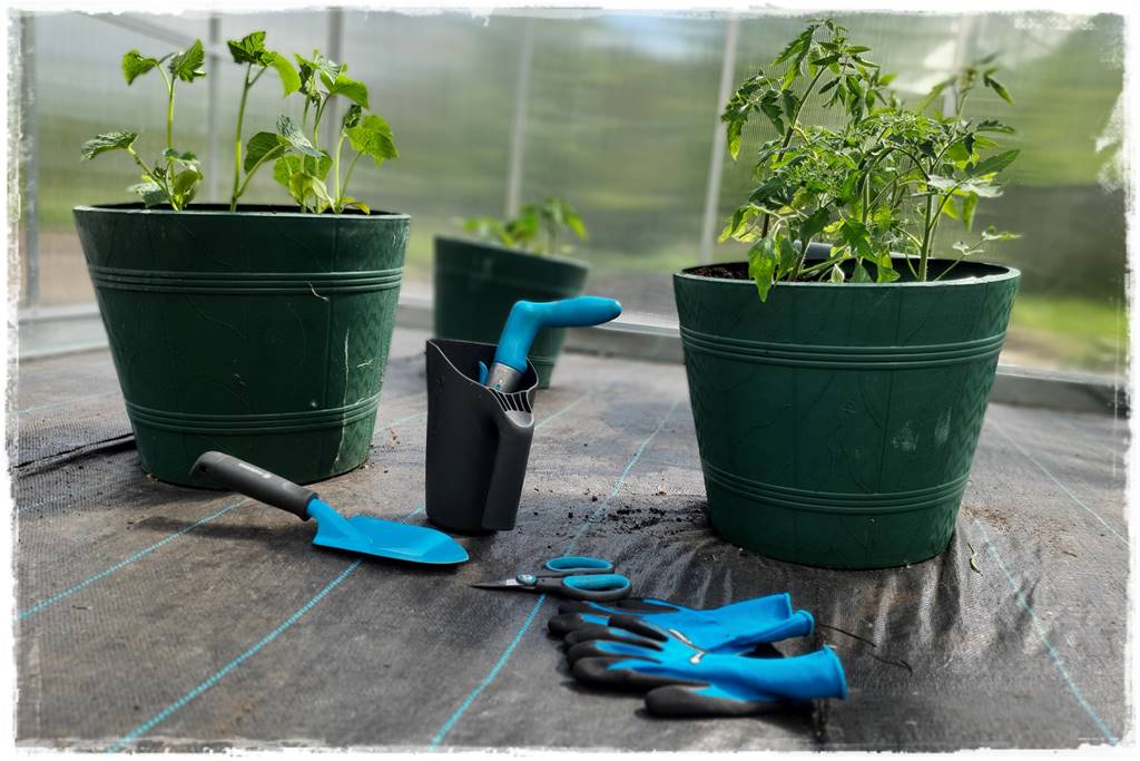 Plan sadzenia warzyw 32