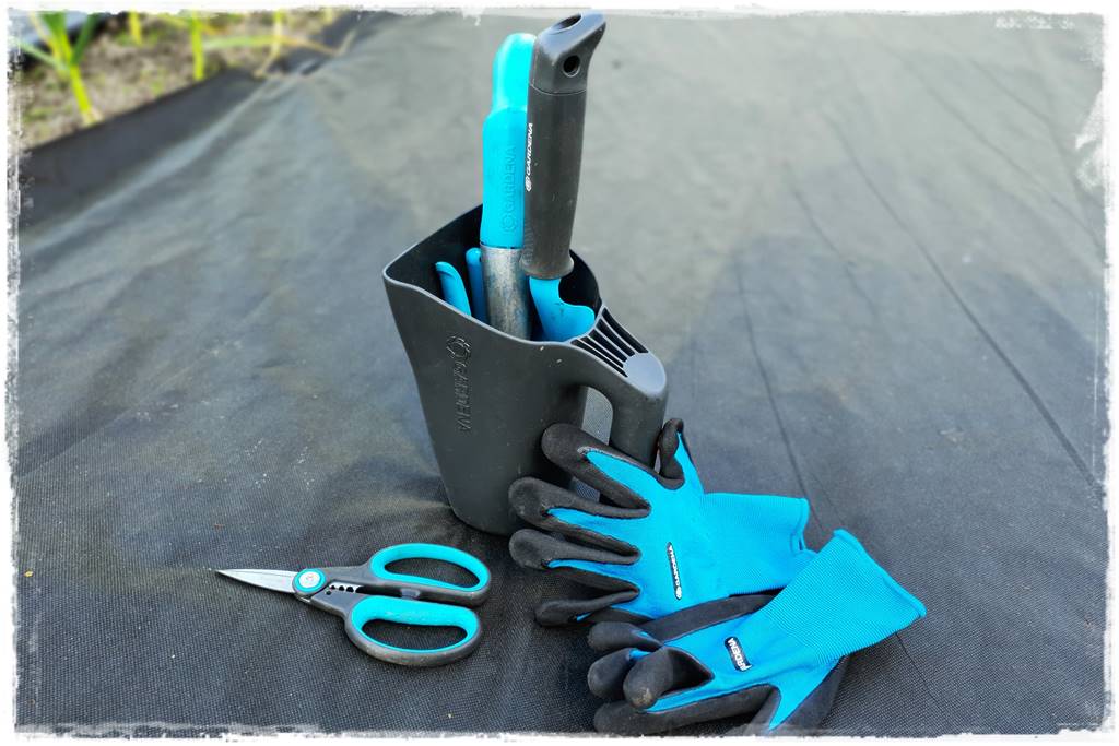 Plan sadzenia warzyw 44 Plan sadzenia warzyw 44