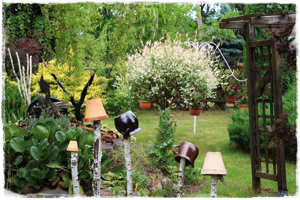 Przycinanie wierzby Hakuro 20