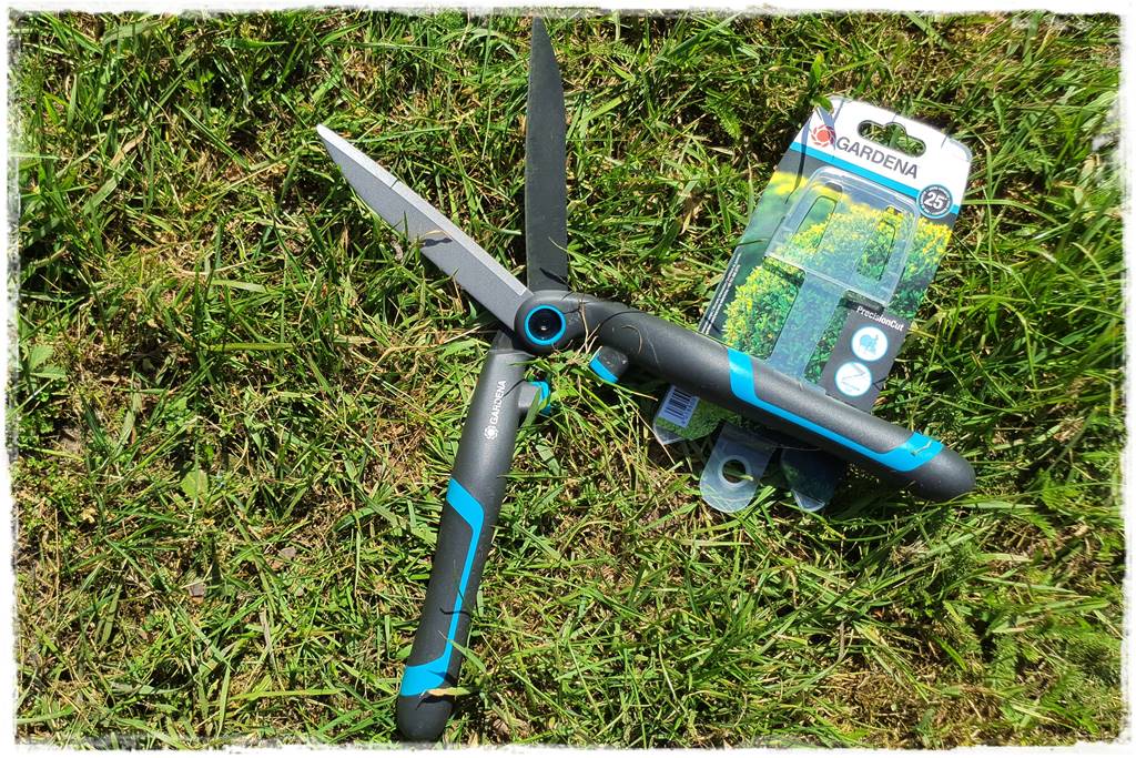 Przycinanie wierzby Hakuro 29