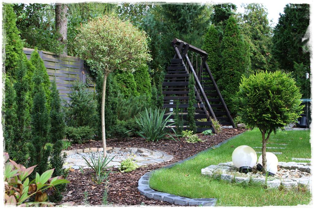 Przycinanie wierzby Hakuro 4