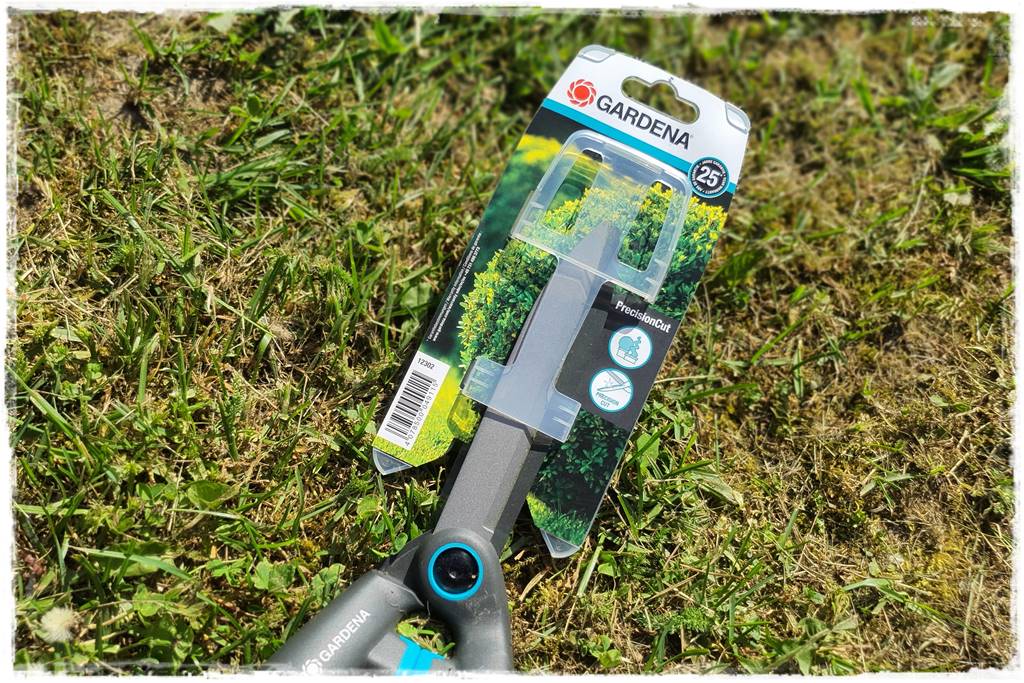 Przycinanie wierzby Hakuro 40