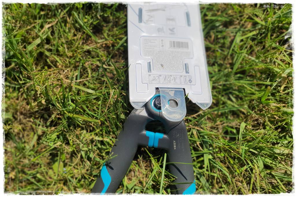 Przycinanie wierzby Hakuro 41