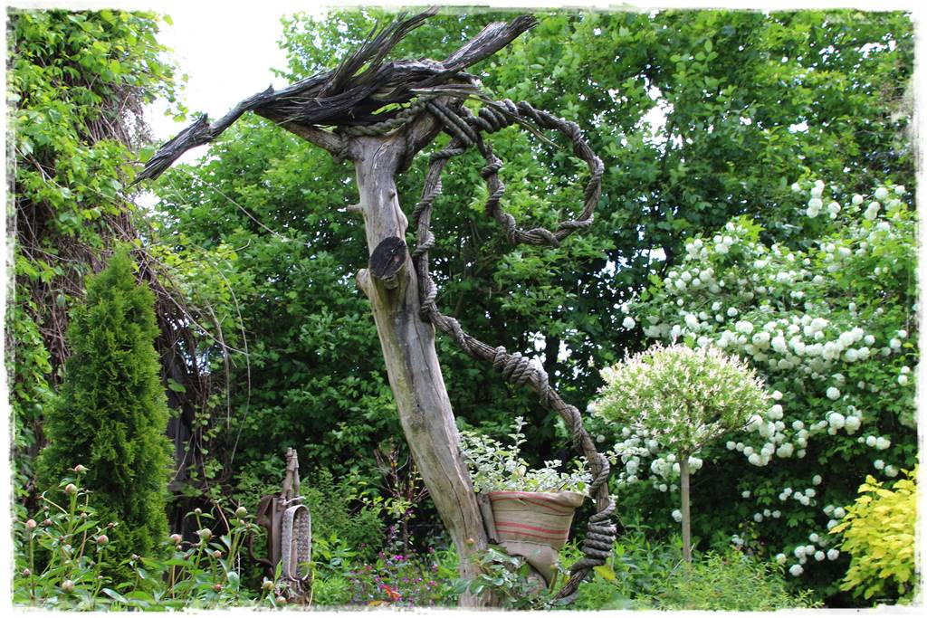 Przycinanie wierzby Hakuro 5