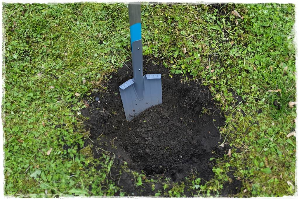 Sadzenie drzew owocowych 18