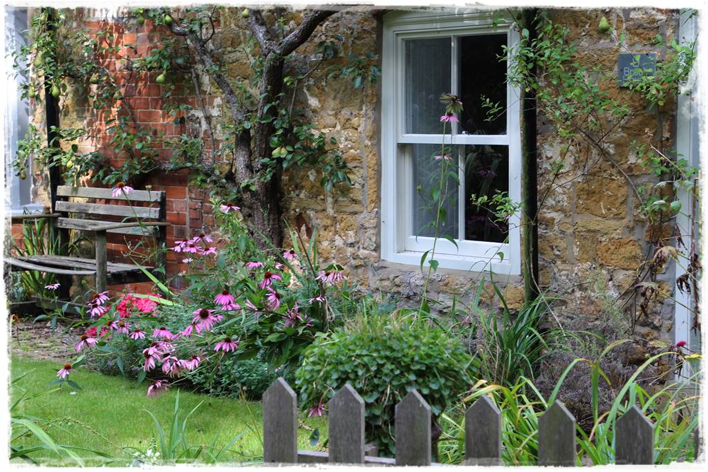 Sadzenie drzew owocowych 4 Sadzenie drzew owocowych 4