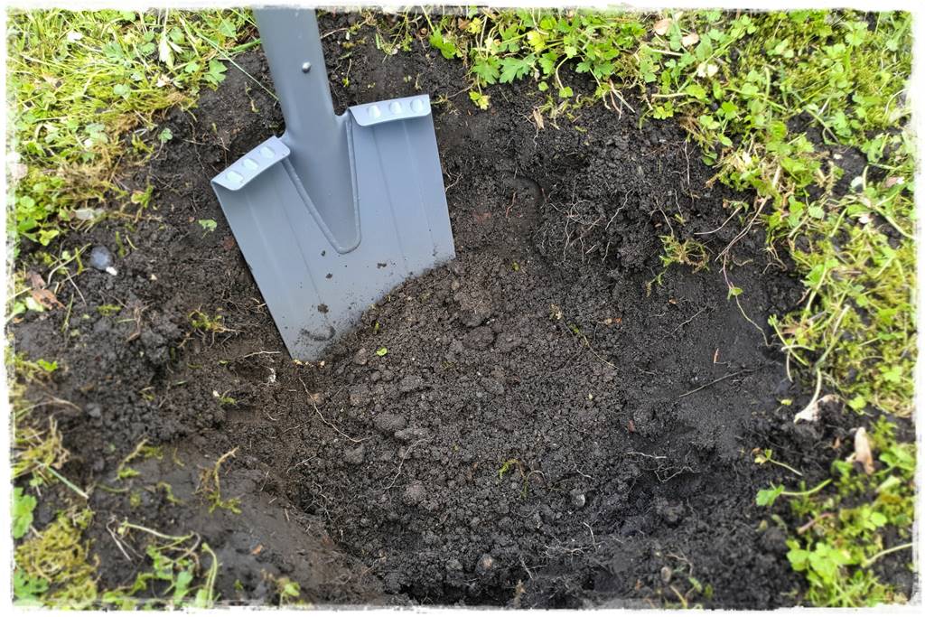 Sadzenie drzew owocowych 41