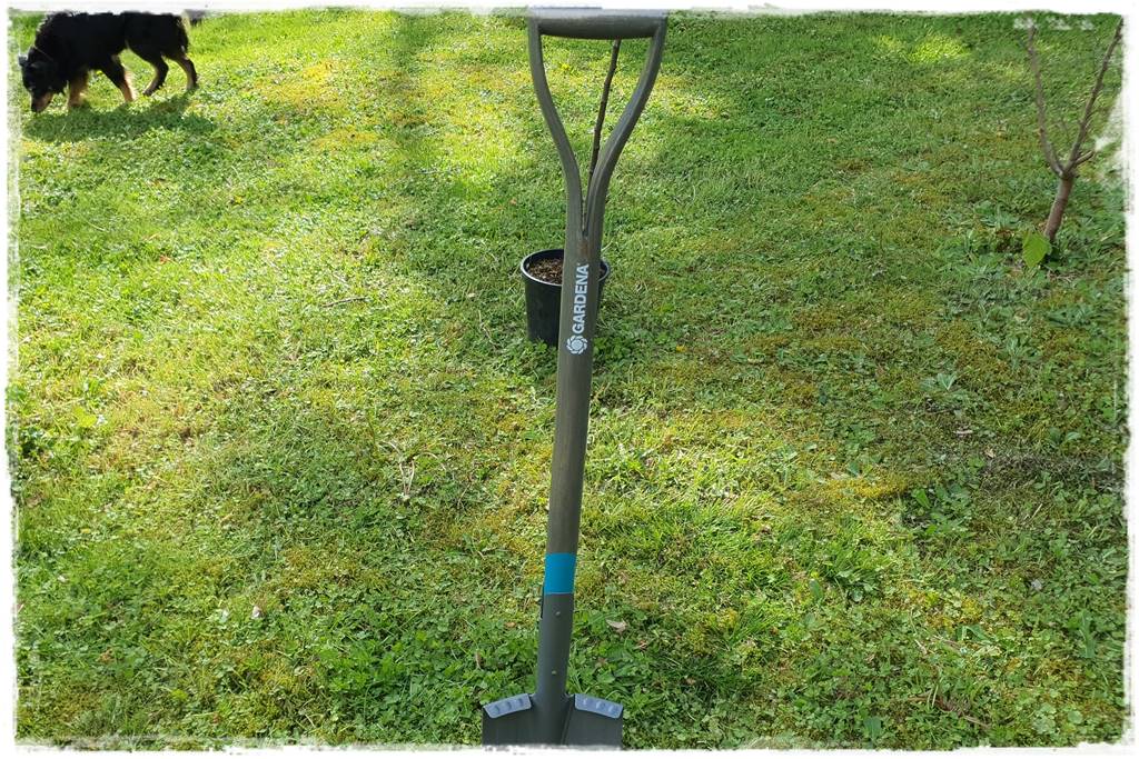 Sadzenie drzew owocowych 44