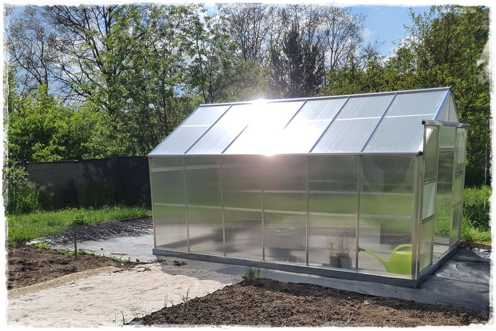 co sadzić w szklarni 21