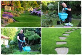 jak równomiernie rozsiać nawóz na trawniku 0