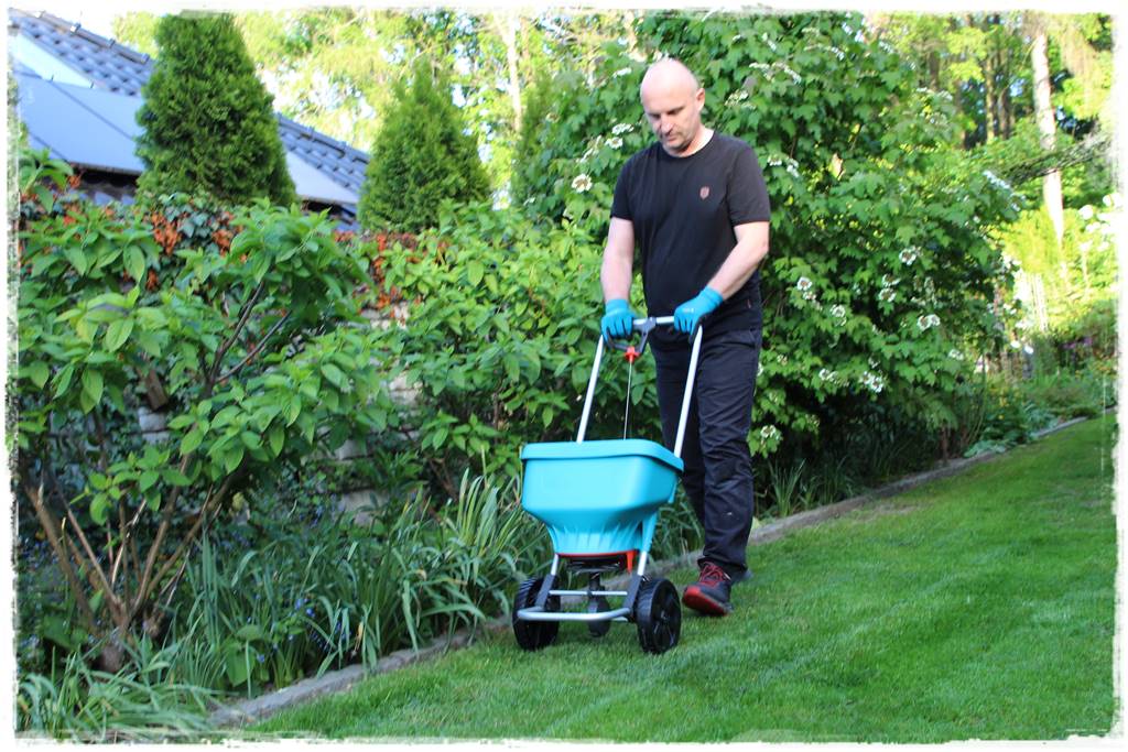 jak równomiernie rozsiać nawóz na trawniku 1