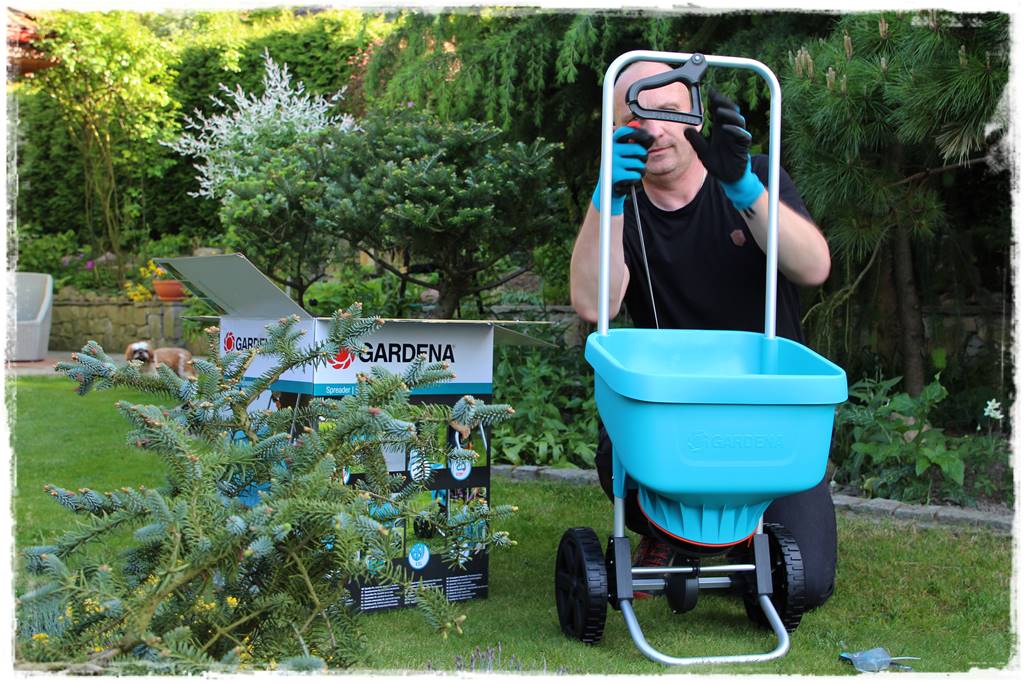 jak równomiernie rozsiać nawóz na trawniku 19
