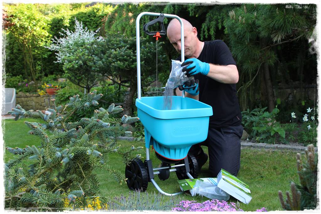 jak równomiernie rozsiać nawóz na trawniku 26