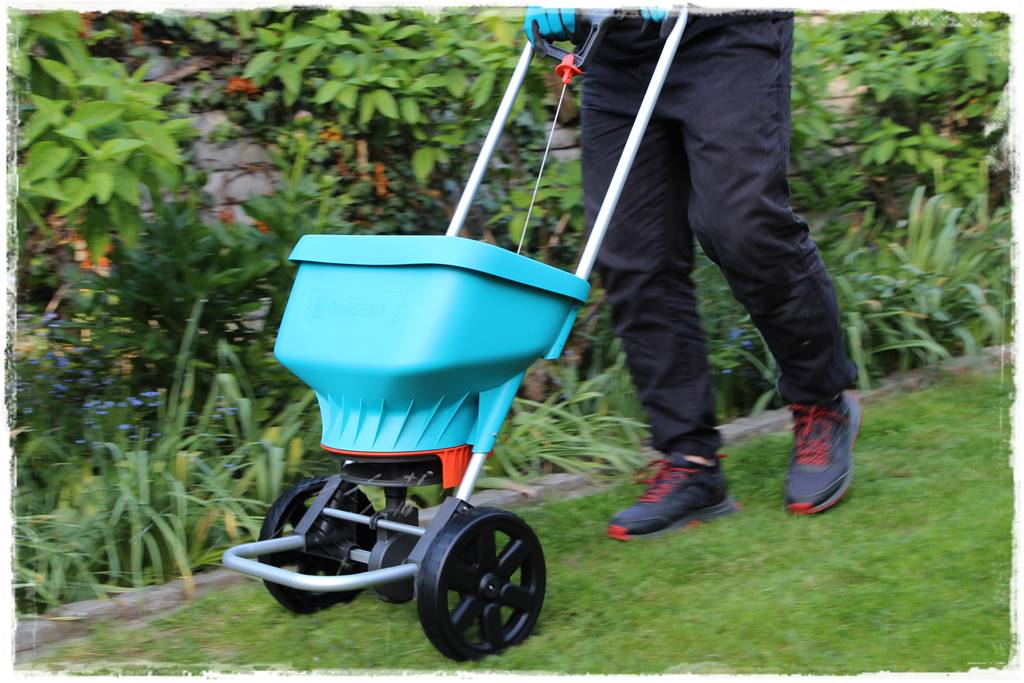 jak równomiernie rozsiać nawóz na trawniku 30