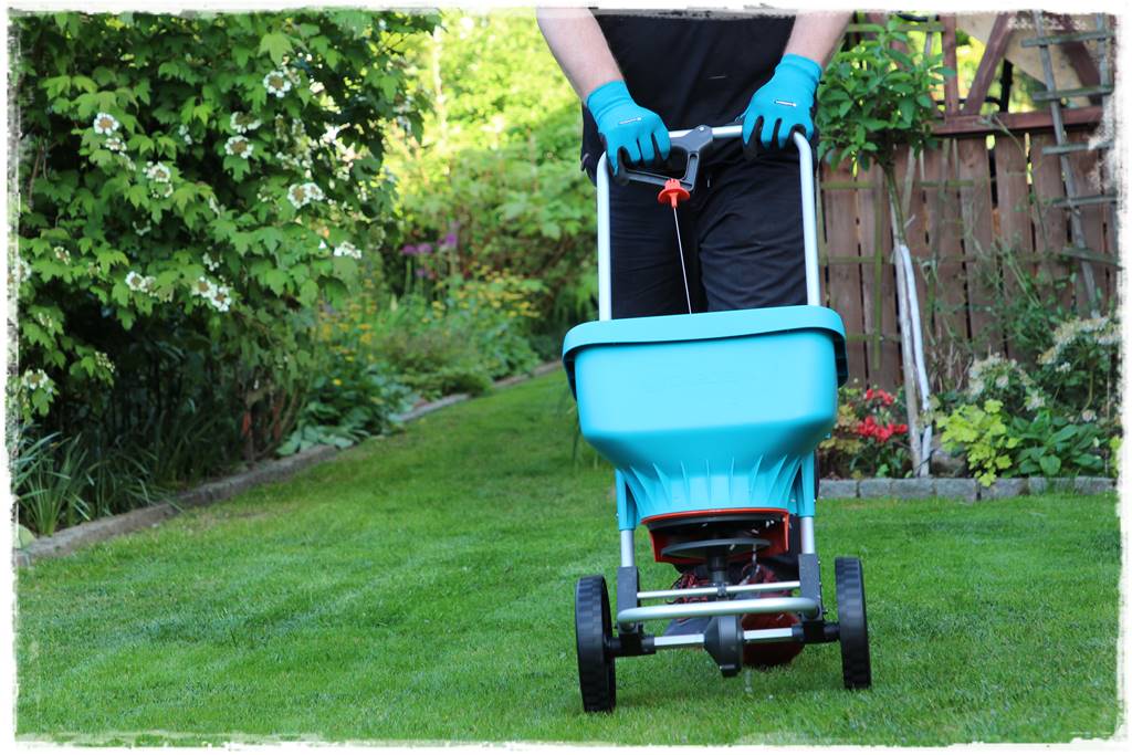 jak równomiernie rozsiać nawóz na trawniku 34