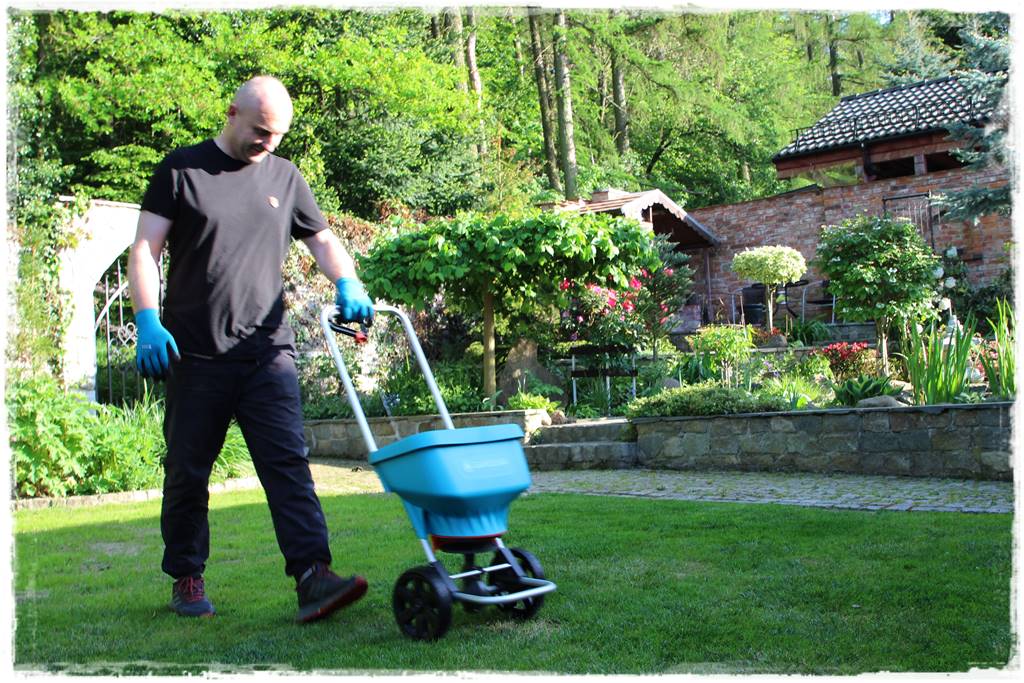 jak równomiernie rozsiać nawóz na trawniku 35