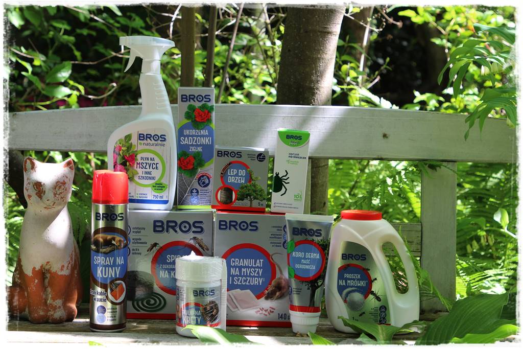 miejska dżungla 101