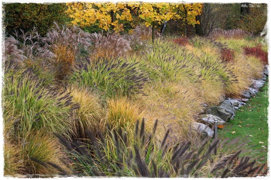 obrzeża trawnikowe 10 obrzeża trawnikowe 10