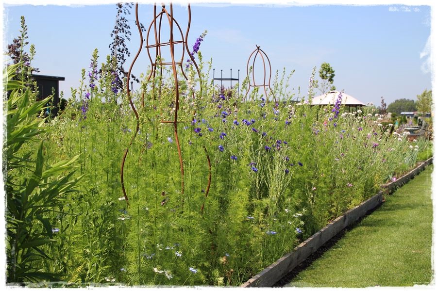 obrzeża trawnikowe 11 obrzeża trawnikowe 11