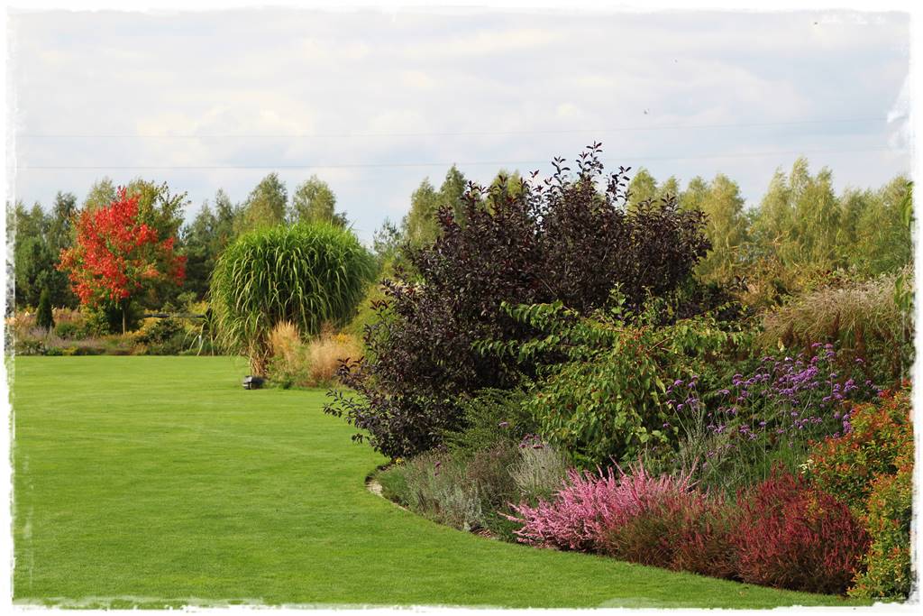 obrzeża trawnikowe 19 obrzeża trawnikowe 19