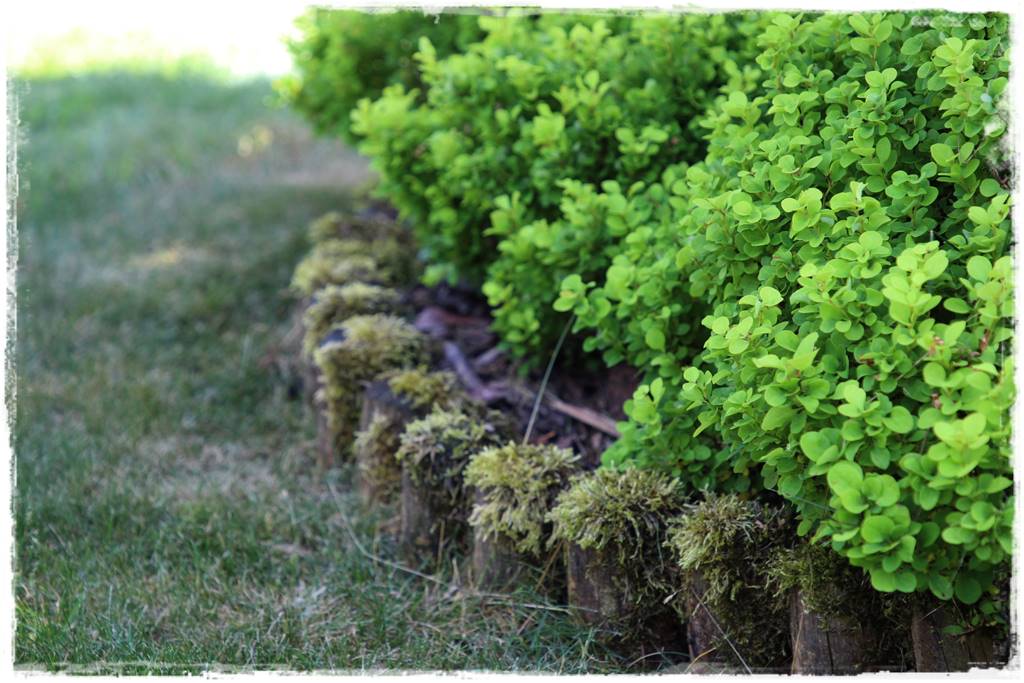 obrzeża trawnikowe 23