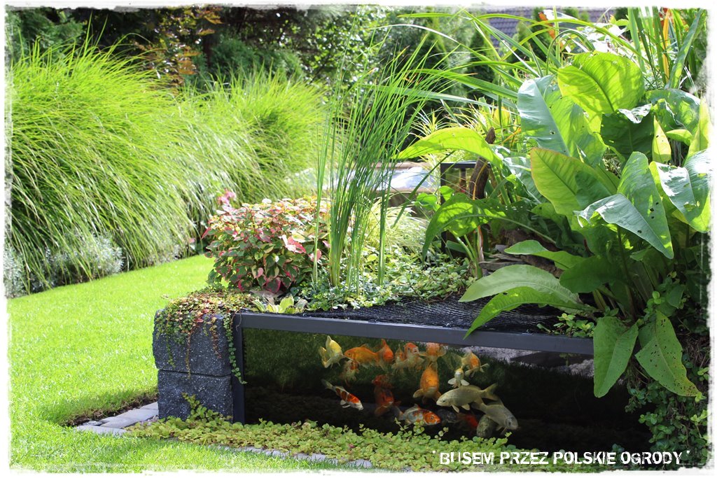 obrzeża trawnikowe 24 obrzeża trawnikowe 24