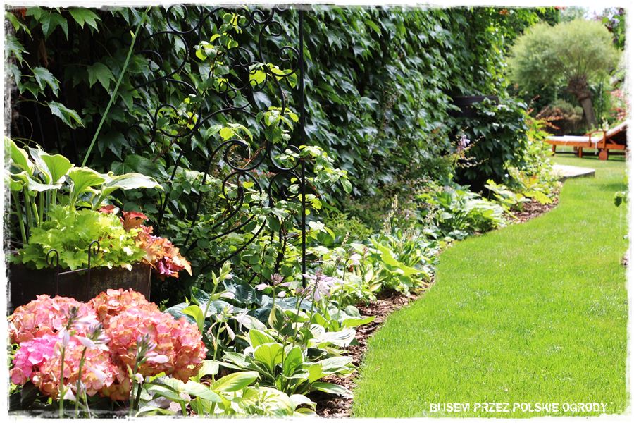 obrzeża trawnikowe 4 obrzeża trawnikowe 4