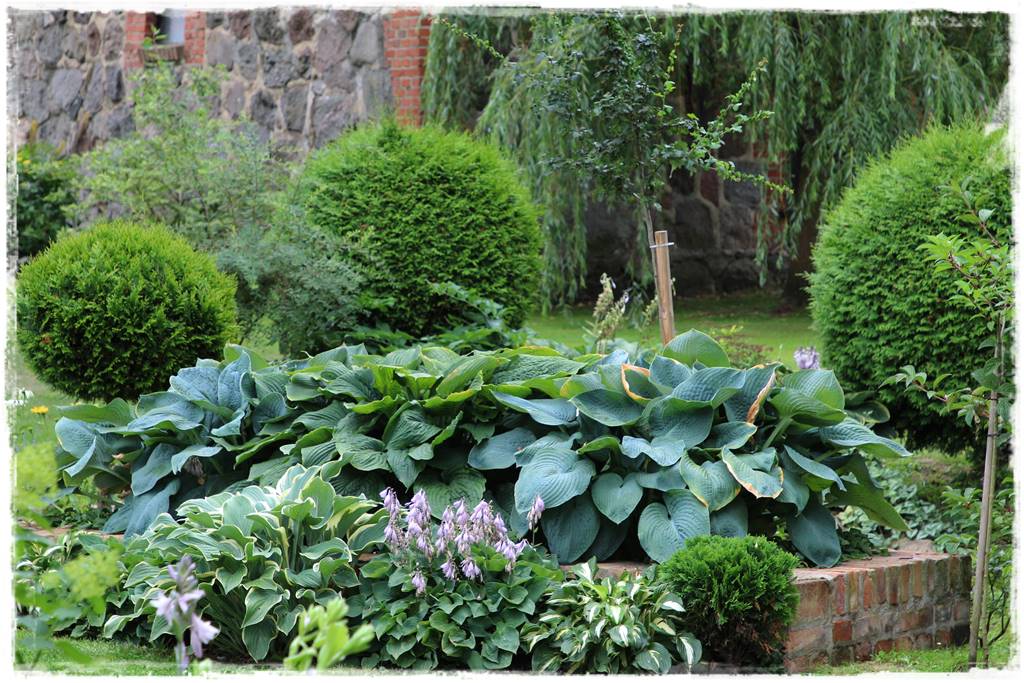 obrzeża trawnikowe 6 obrzeża trawnikowe 6