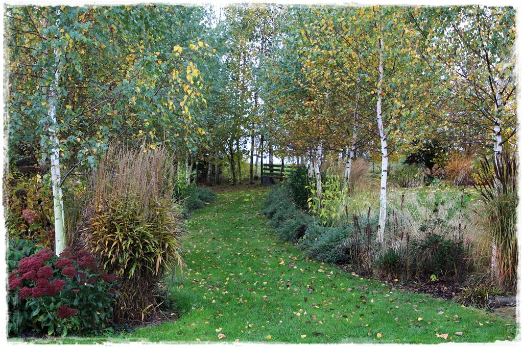 obrzeża trawnikowe 7 obrzeża trawnikowe 7