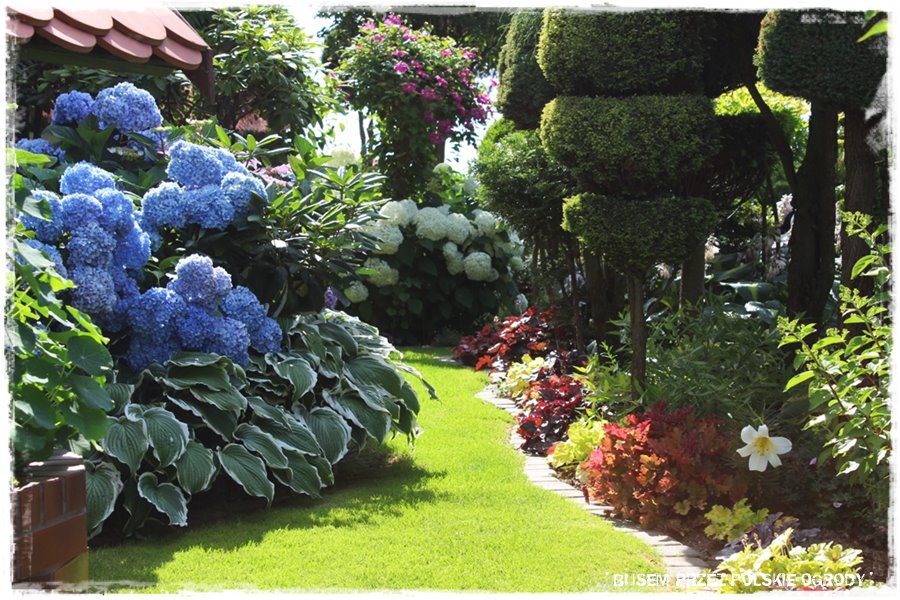 obrzeża trawnikowe 8 obrzeża trawnikowe 8