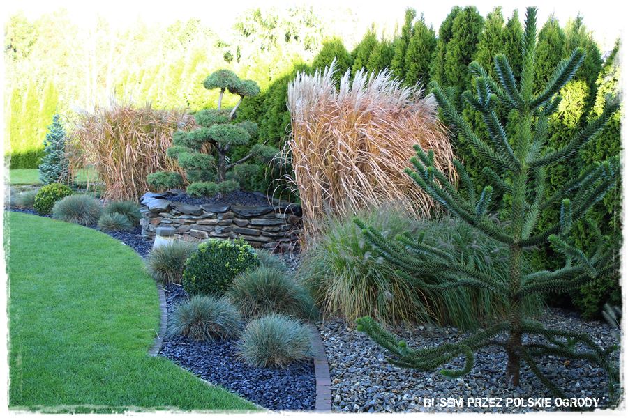 obrzeża trawnikowe 9 obrzeża trawnikowe 9