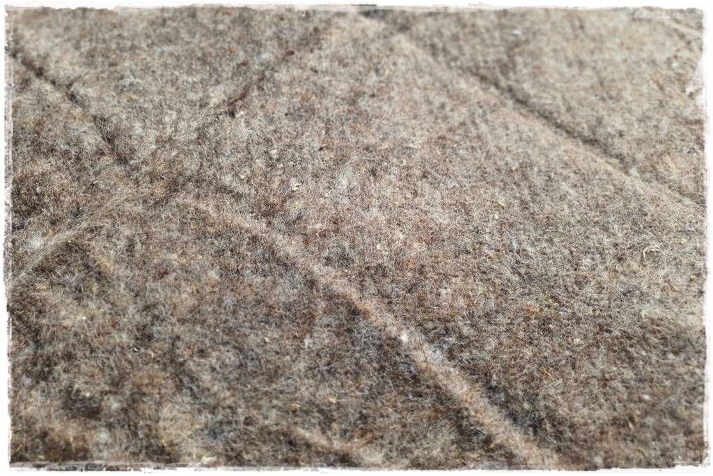 ściółkowanie wełną owczą 10 ściółkowanie wełną owczą 10