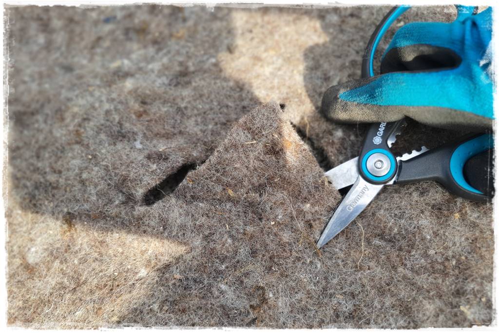 ściółkowanie wełną owczą 13