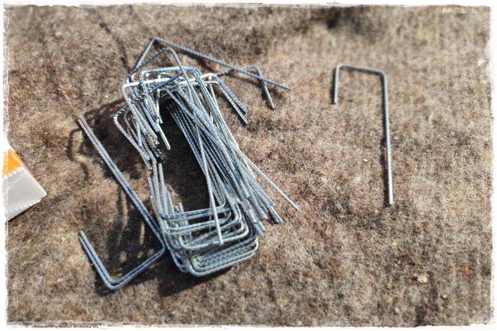 ściółkowanie wełną owczą 19 ściółkowanie wełną owczą 19