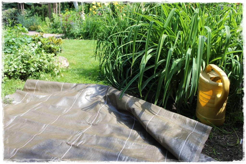 ściółkowanie wełną owczą 2