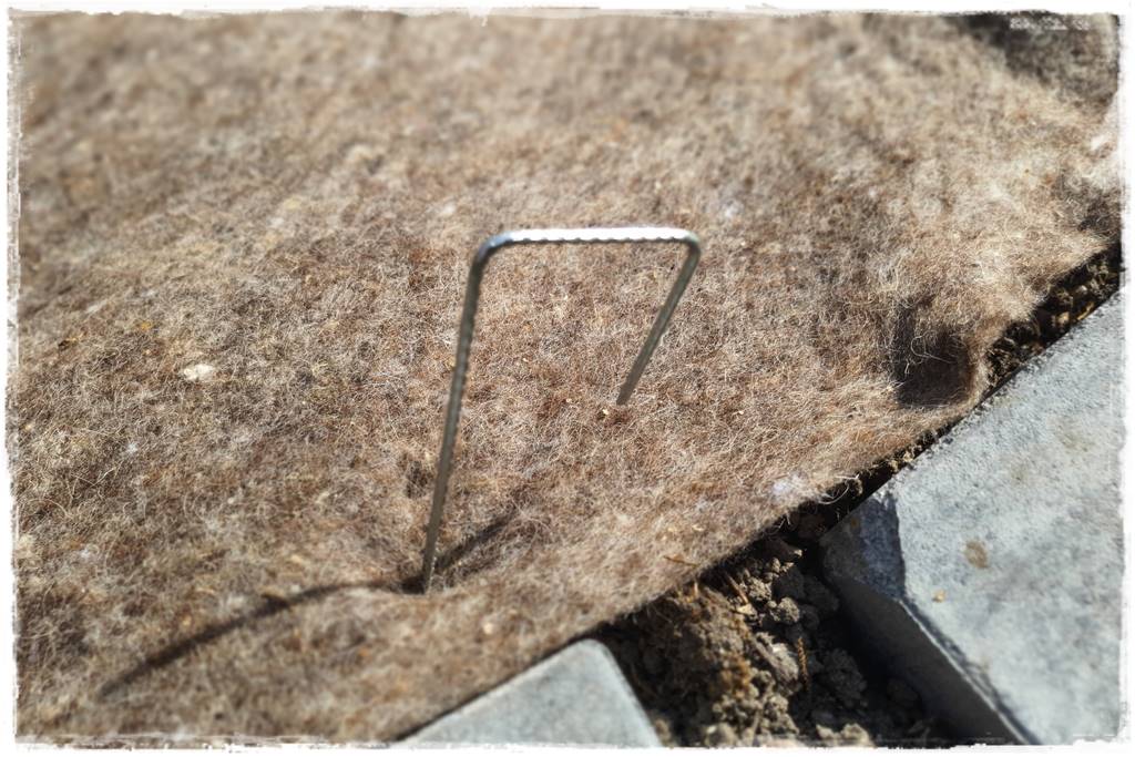 ściółkowanie wełną owczą 20 ściółkowanie wełną owczą 20