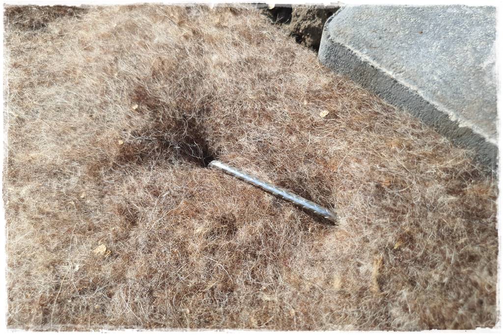 ściółkowanie wełną owczą 21 ściółkowanie wełną owczą 21