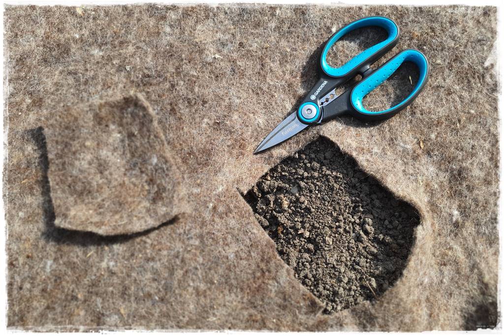 ściółkowanie wełną owczą 24 ściółkowanie wełną owczą 24