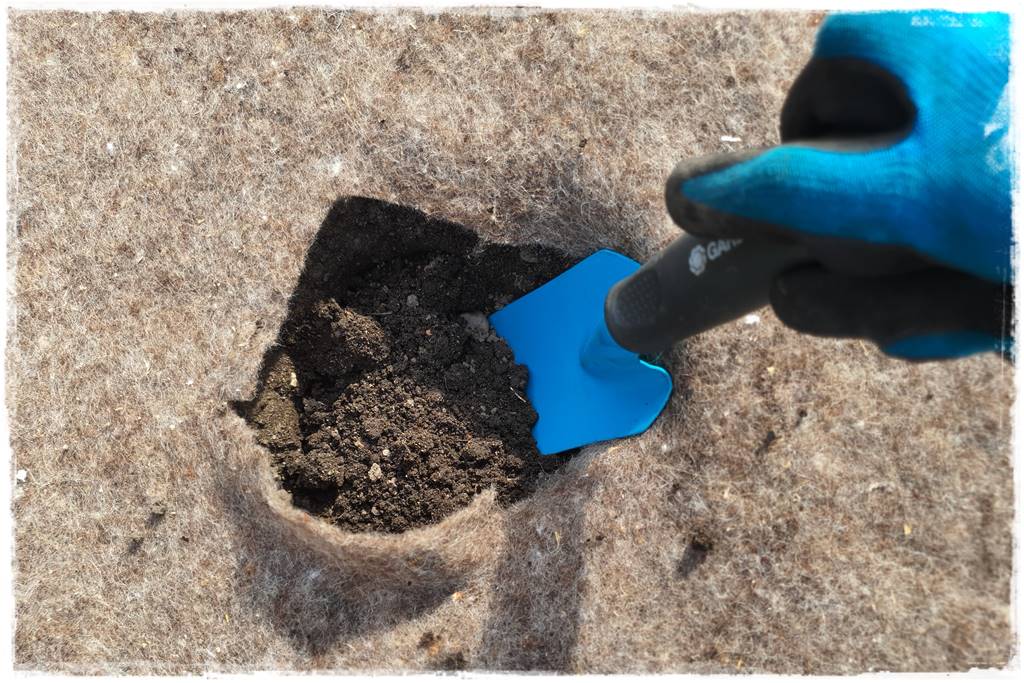 ściółkowanie wełną owczą 27 ściółkowanie wełną owczą 27