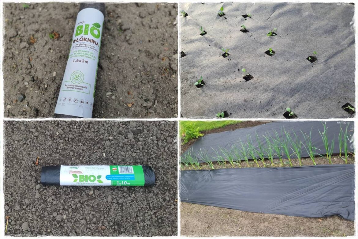 Biowłóknina ściółkująca 0